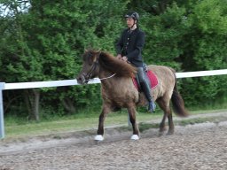 img_4602_web